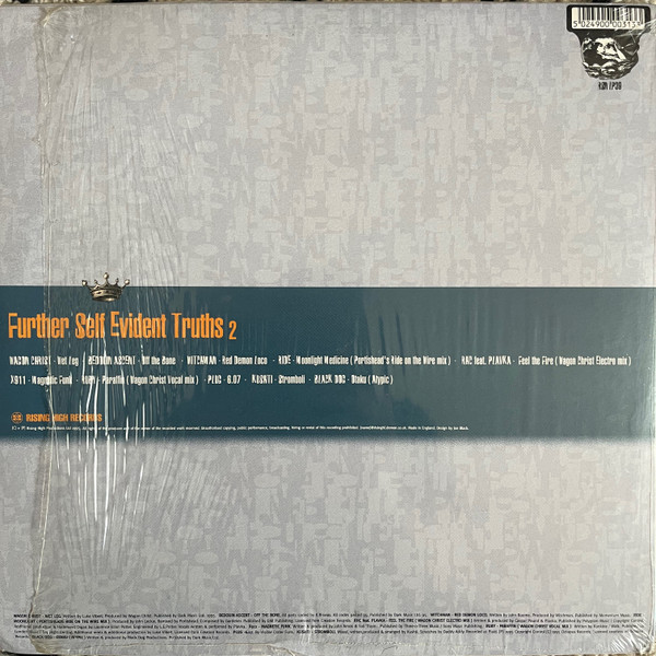 Various - Further Self Evident Truths 2 (1995) - Image 3