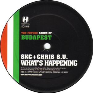 Various - The Future Sound Of Budapest (2005) - Image 3