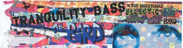 Tranquility Bass - The Bird (1997) - Image 2