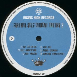 Various - Further Self Evident Truths 2 (1995) - Image 7