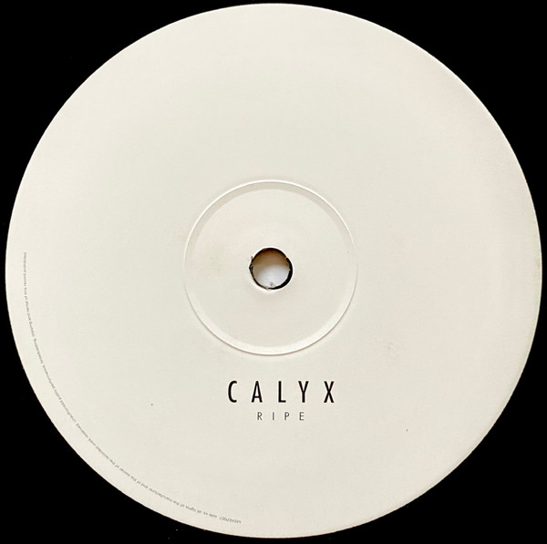 Calyx - Downpour EP (2000)