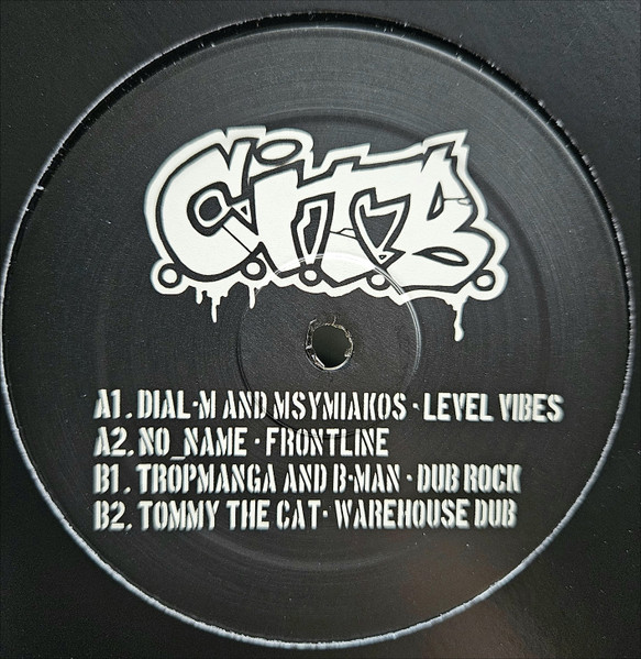Various - Cat In The Bag 013 (2024)