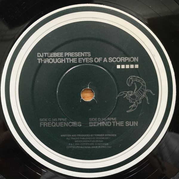Teebee - Through The Eyes Of A Scorpion (2001) - Image 6