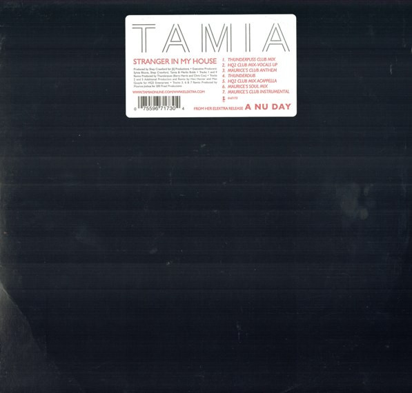 Tamia - Stranger In My House (2001)