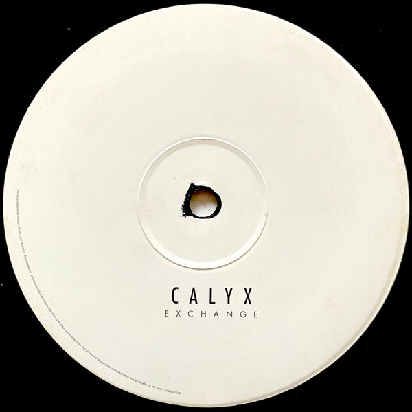 Calyx - Downpour EP (2000) - Image 2