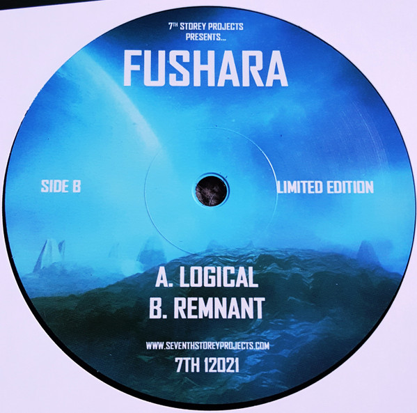 Fushara - Remnant / Logical (2017) - Image 2