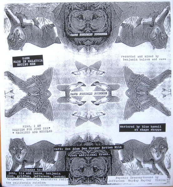 Cave (5) - Psychic Psummer (2009) - Image 5