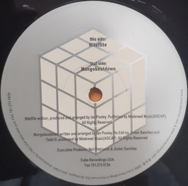 Ian Pooley - Niteflite / Mongobeatdown (2002) - Image 2