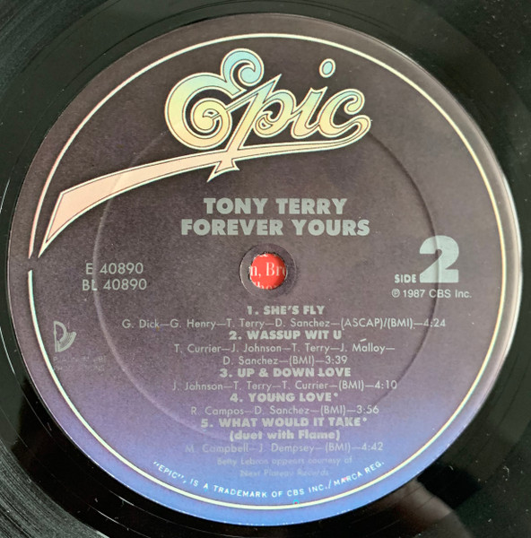 Tony Terry - Forever Yours (1987) - Image 4