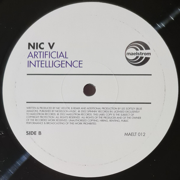 Nic Vegter - Artificial Intelligence (2002) - Image 4