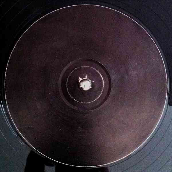 Fierce - Input (1996) - Image 3