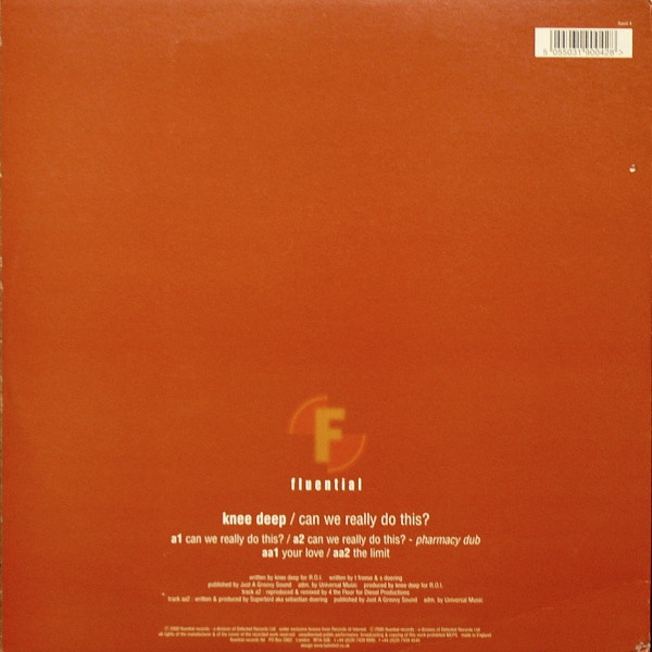 Knee Deep - Can We Really Do This? (2000) - Image 2