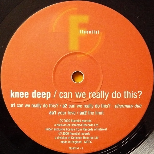 Knee Deep - Can We Really Do This? (2000) - Image 4