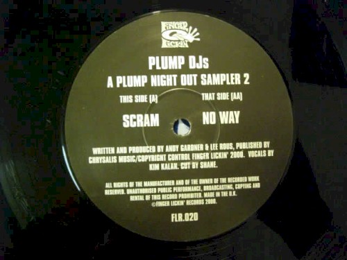 Plump DJs - A Plump Night Out (Sampler 2) (2000)