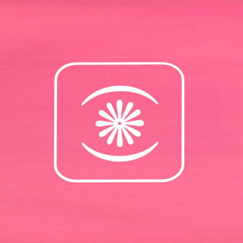 Banzai Republic - In My Home / Pandajero (2001) - Image 3