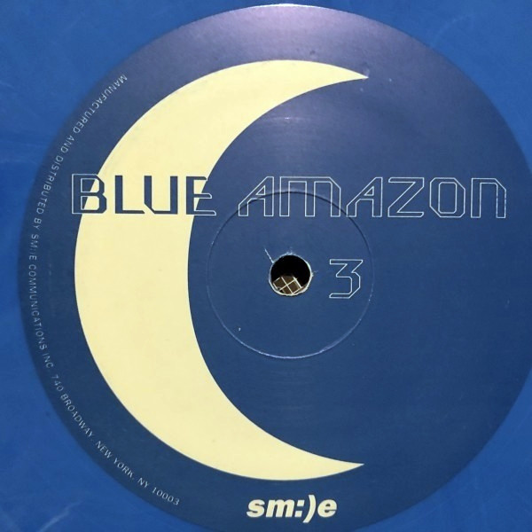 Blue Amazon - 4 Seasons (1995) - Image 6