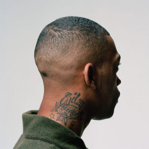 Wiley (2) - 100% Publishing (2011)